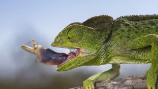 Divoké Španielsko (2/2)