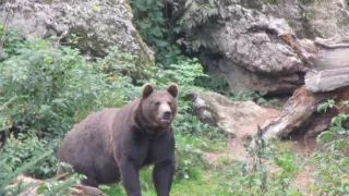 Divočina bez hranic (11)