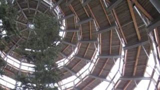 Divočina bez hranic (11)