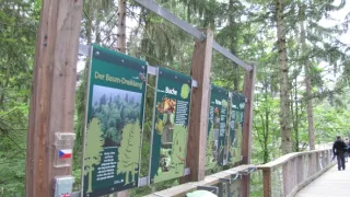 Divočina bez hranic (11)