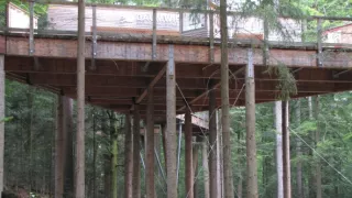 Divočina bez hranic (11)