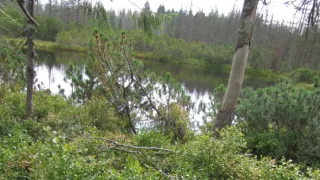 Divočina bez hranic (11)