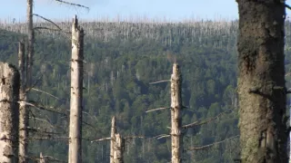 Divočina bez hranic (11)