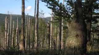 Divočina bez hranic (11)