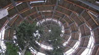 Divočina bez hranic (11)