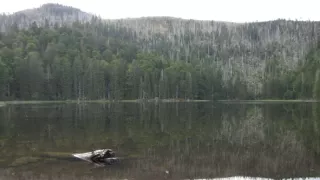 Divočina bez hranic (11)