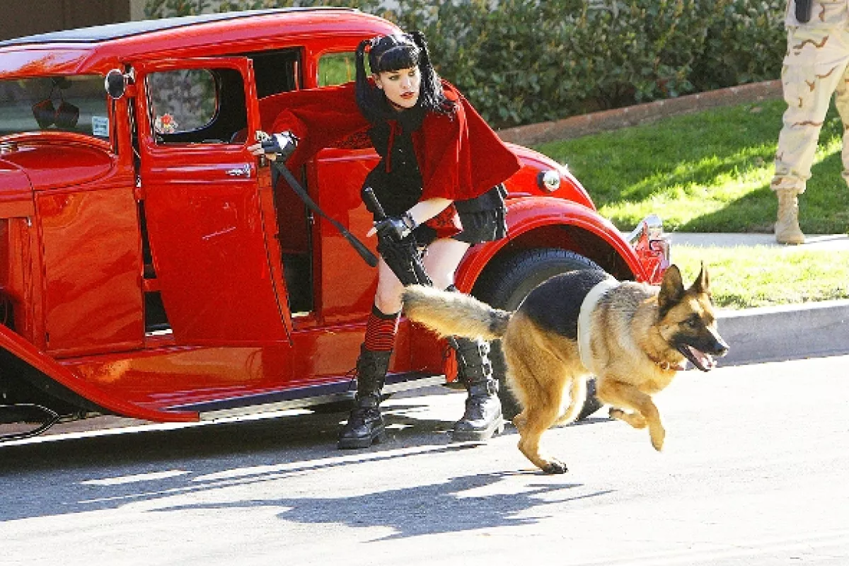 NCIS - Námorný vyšetrovací úrad, 2007 - fotogaléria