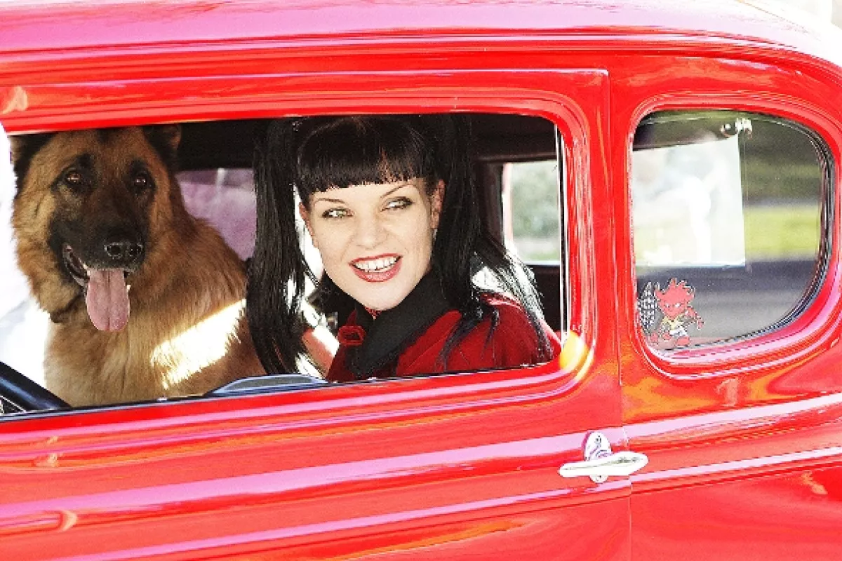 NCIS - Námorný vyšetrovací úrad, 2007 - fotogaléria