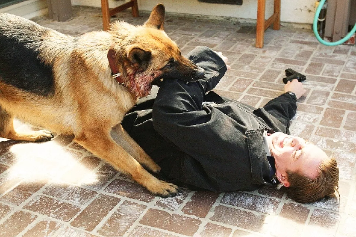 NCIS - Námorný vyšetrovací úrad, 2007 - fotogaléria