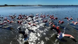 Patagonie, vládkyně času