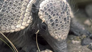 Patagonie, vládkyně času