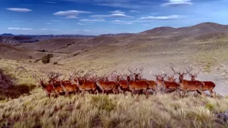 Patagonie, vládkyně času