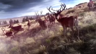 Patagonie, vládkyně času