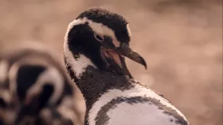 Patagonie, vládkyně času