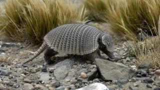 Patagonie, vládkyně času