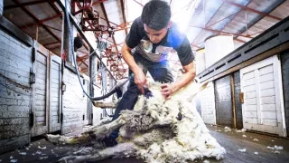 Patagonie, vládkyně času