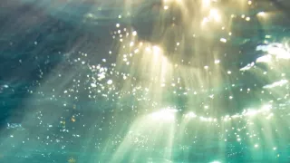 Antropocén - vek človeka (3/3)