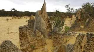 Antropocén - vek človeka (3/3)