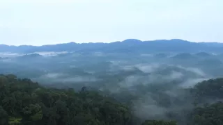 Rwanda, cena za úspech