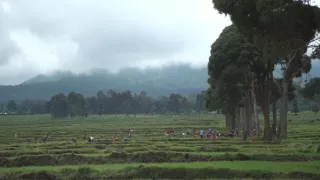 Rwanda, cena za úspech