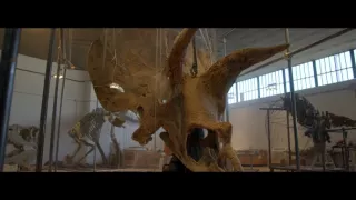 Vydražte si svojho dinosaura