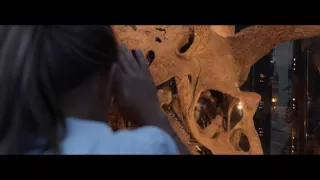 Vydražte si svojho dinosaura