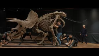 Vydražte si svojho dinosaura
