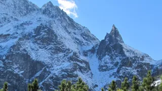 Divočina bez hranic (12)