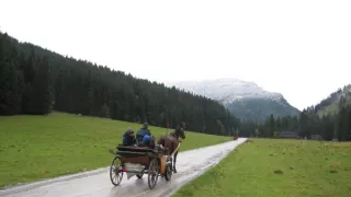 Divočina bez hranic (12)