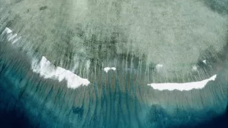 Tvořivá díla zvířecí říše (1/3)