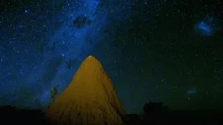 Tvořivá díla zvířecí říše (1/3)