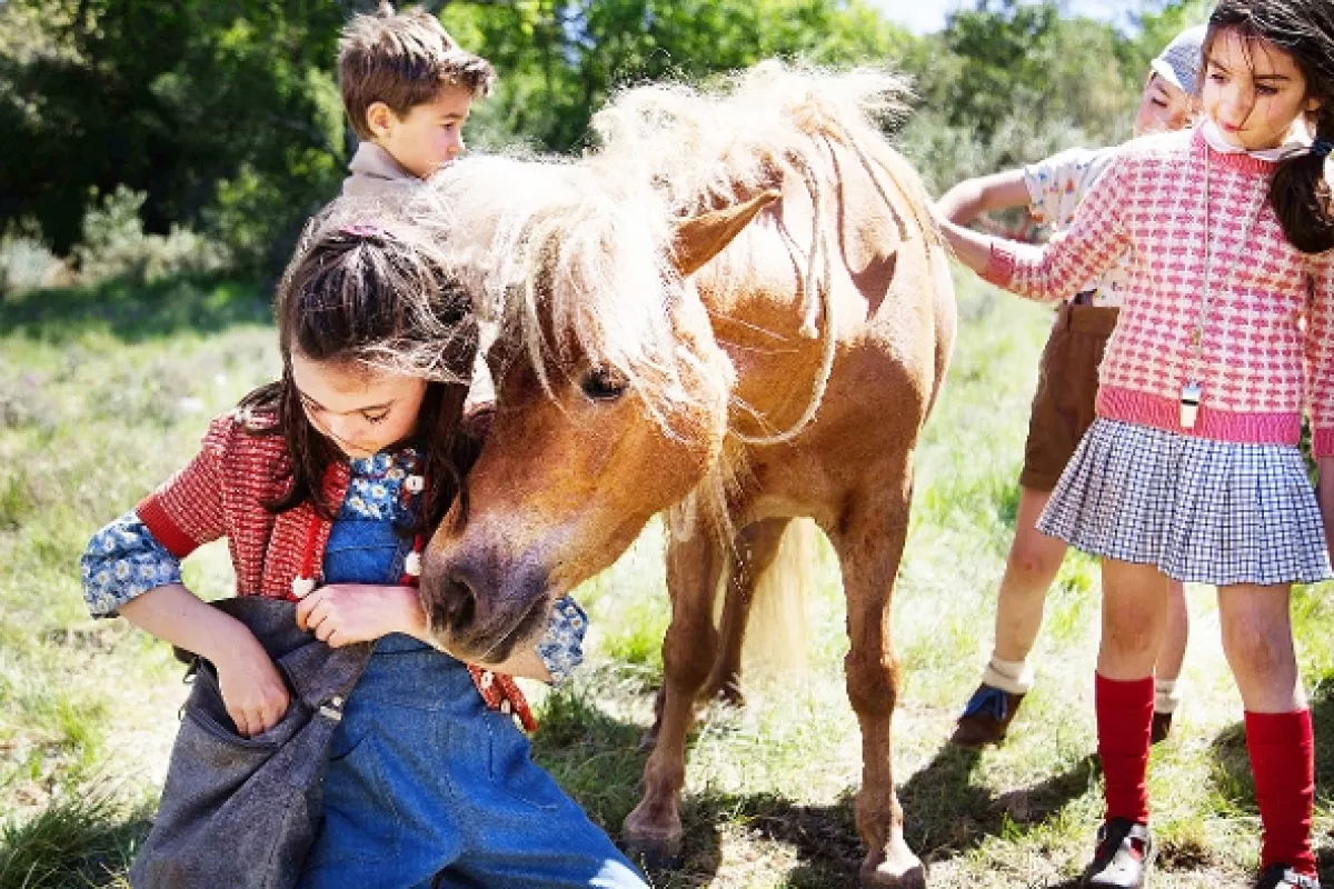 Poly, 2020 - fotogaléria