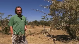 Přežili rok 2000