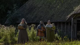 Vikingové: Vzestup a pád (1)