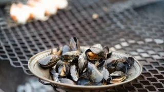 Objavovanie chutí s Gordonom Ramsayom