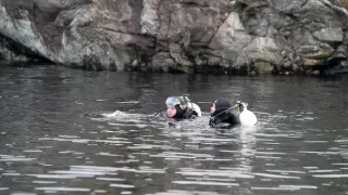 Objavovanie chutí s Gordonom Ramsayom