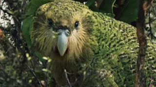 Fascinující Nový Zéland