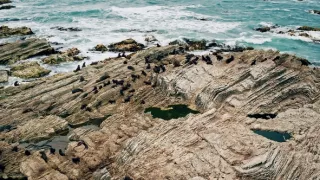 Fascinující Nový Zéland