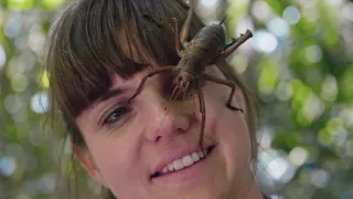 Fascinující Nový Zéland