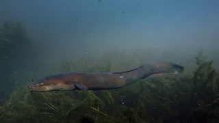 Fascinující Nový Zéland