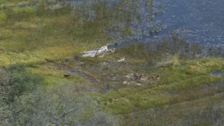 Zázračná planeta: Planeta Země III (4/8)