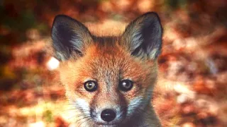 Tajemství Velkých jezer (1/3)