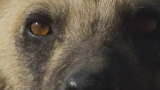 Zázračná planeta: Planeta Země III (4/8)