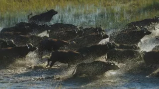 Zázračná planeta: Planeta Země III (4/8)