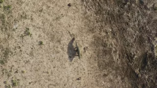 Zázračná planeta: Planeta Země III (4/8)