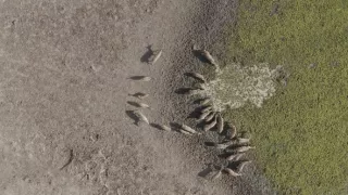 Zázračná planeta: Planeta Země III (4/8)