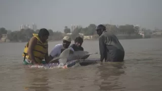 Zázračná planeta: Planeta Země III (4/8)