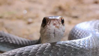 Tajemství Velkých jezer (1/3)