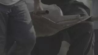 Zázračná planeta: Planeta Země III (4/8)