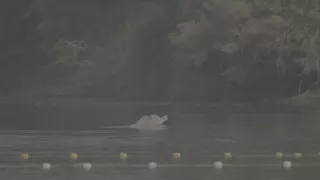 Zázračná planeta: Planeta Země III (4/8)